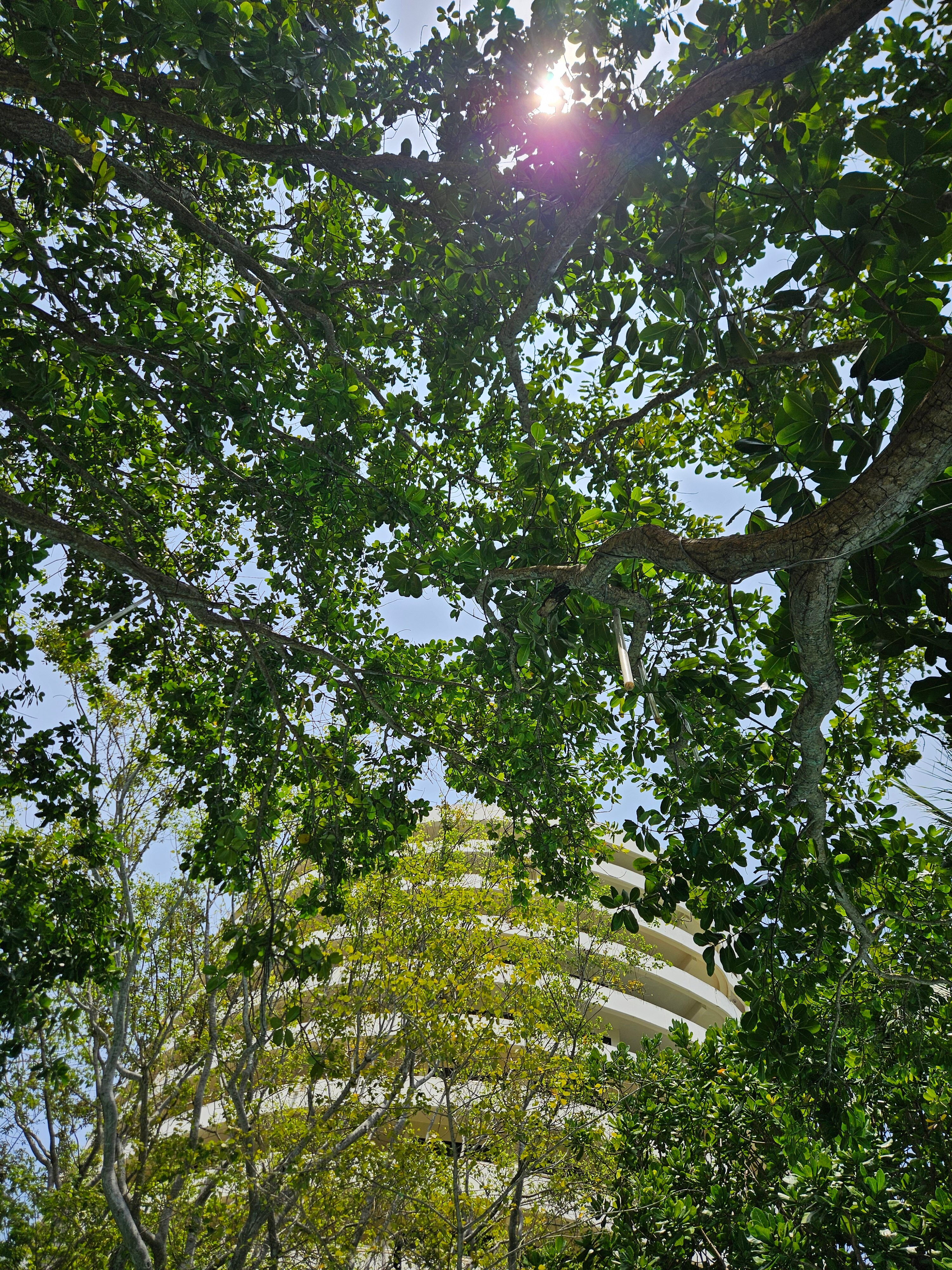 Фото Pullman Phuket Karon Beach Resort