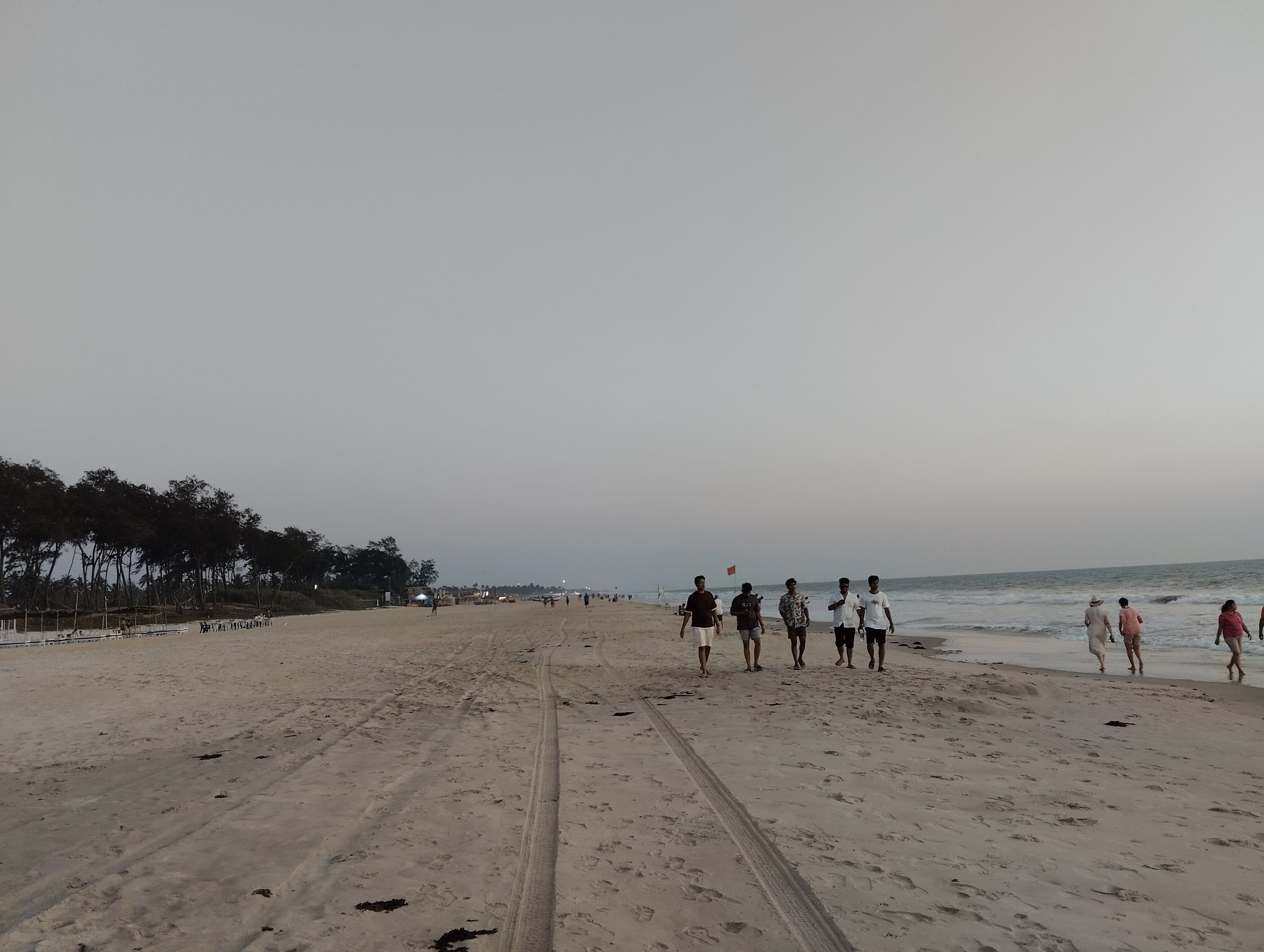 Фото Coconut Grove