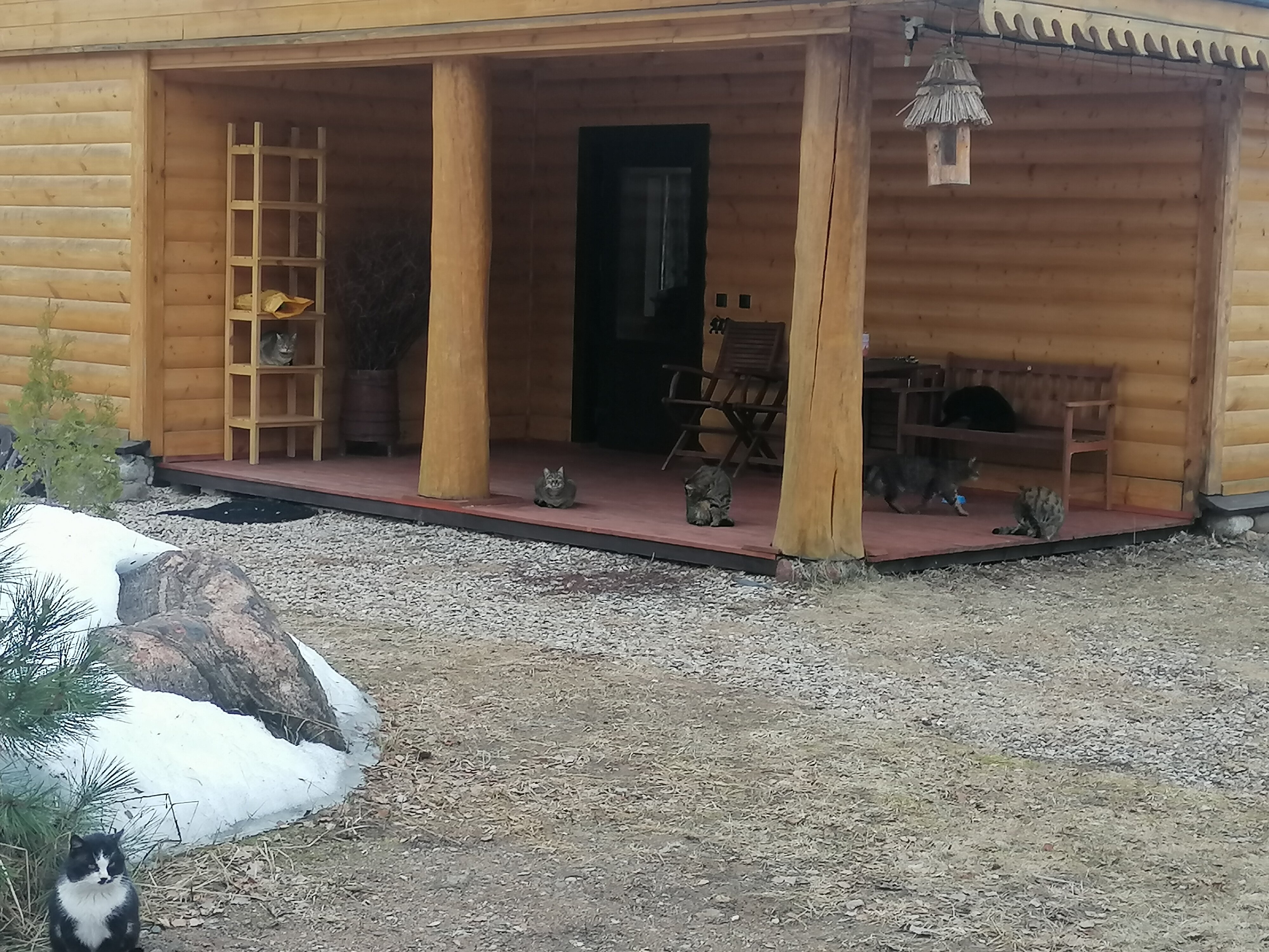 Фото Псковские дали