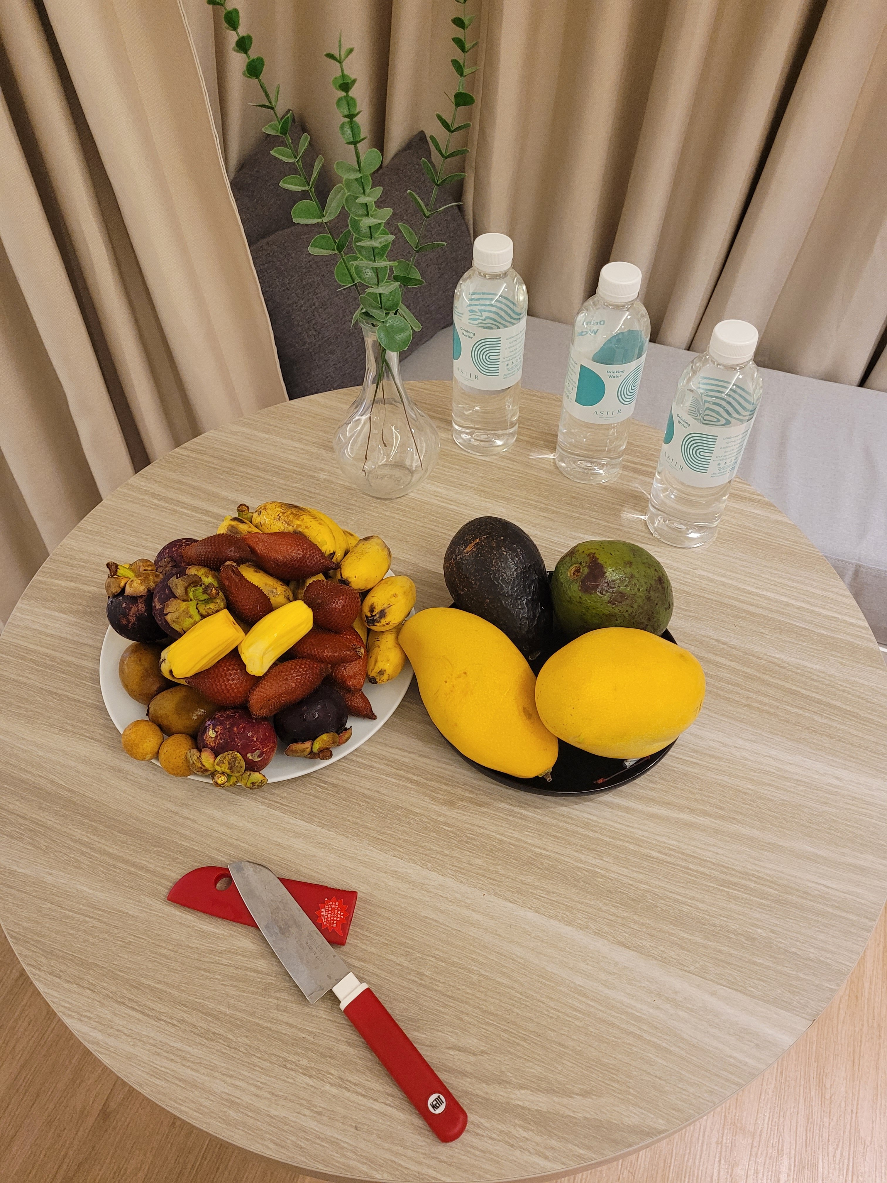 Фото Aster Hotel and Residence