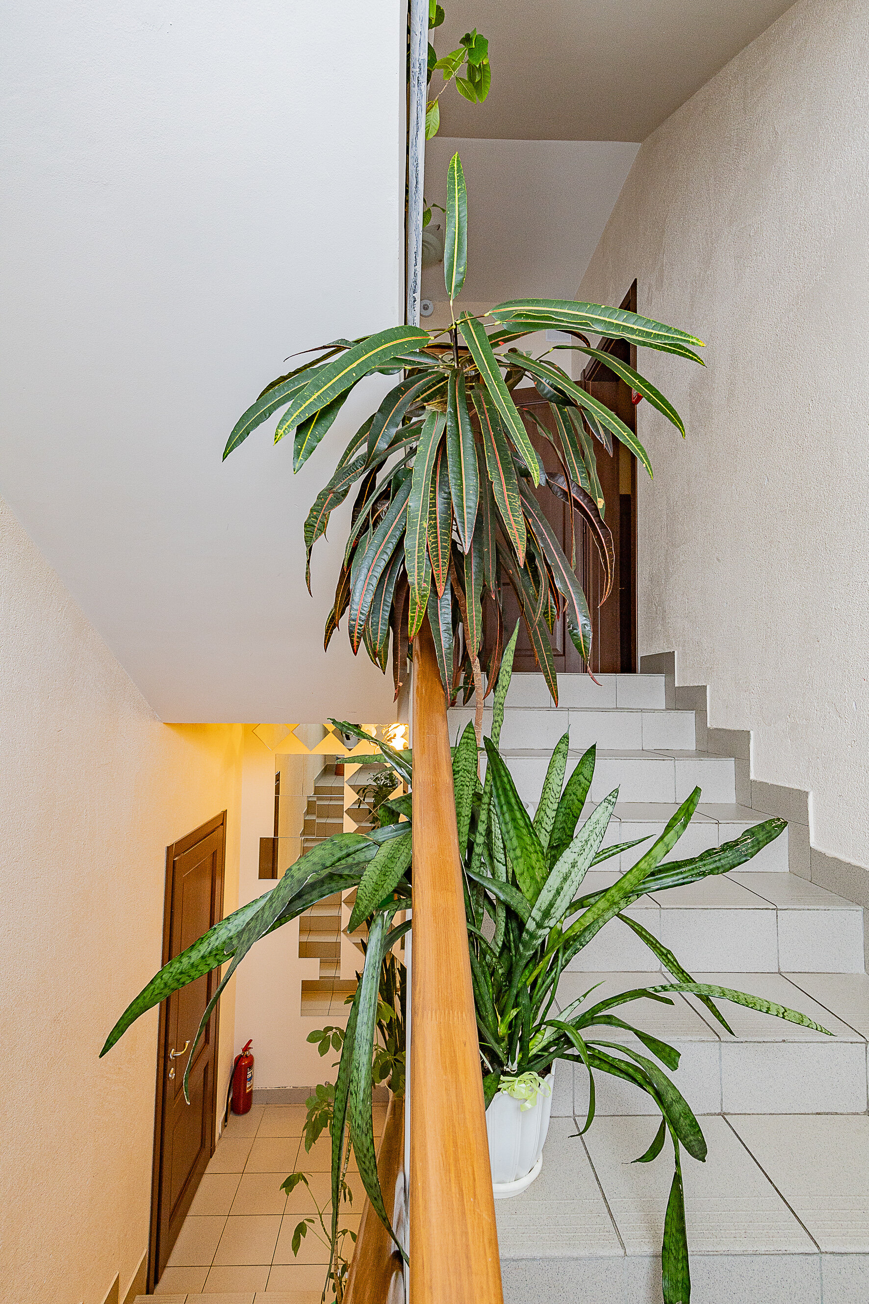 Фото Заозерный