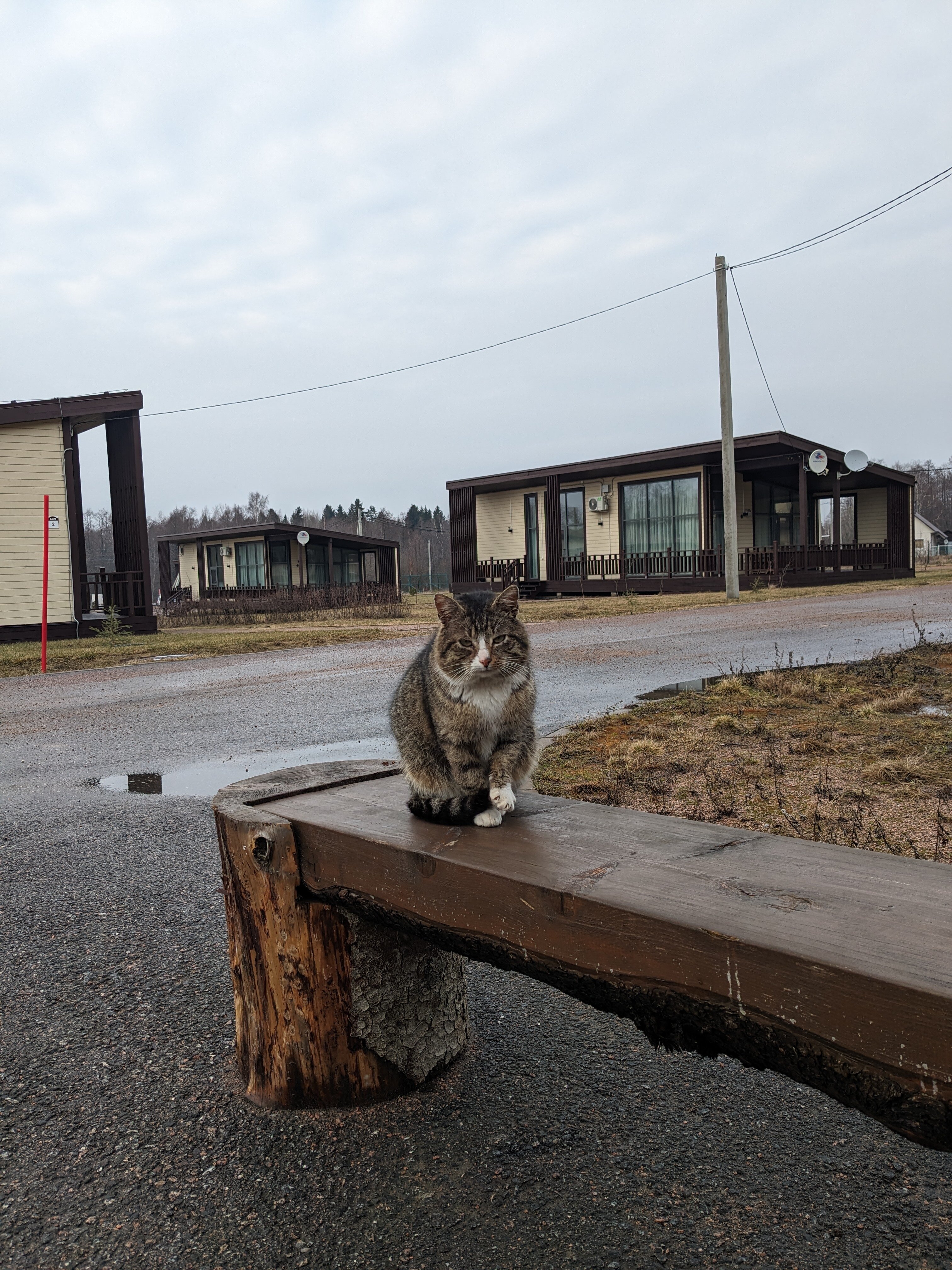 Фото Логи Апарт