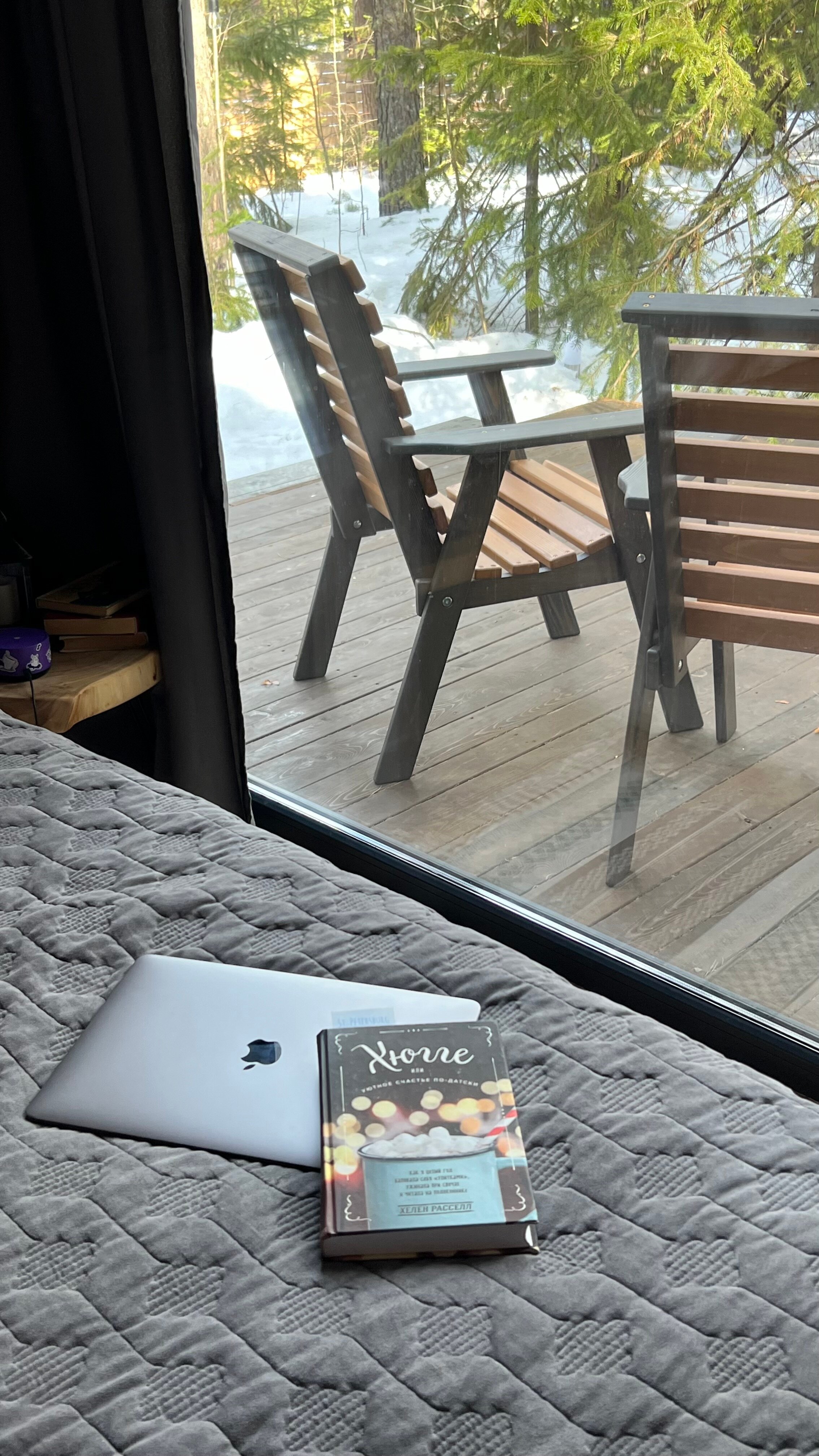 Фото Ёлки да Сосны