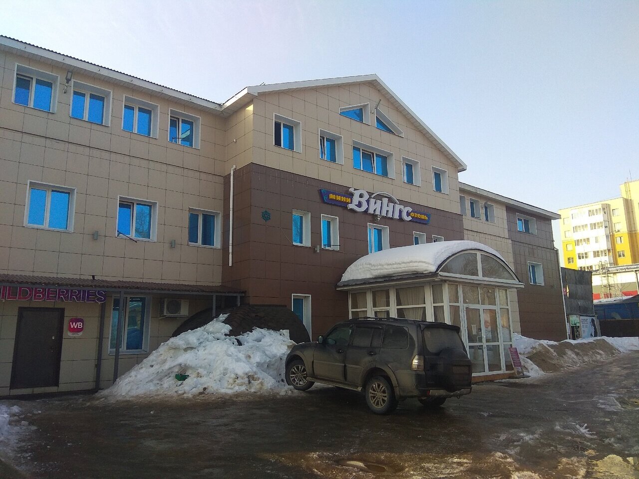 Фото Вингс