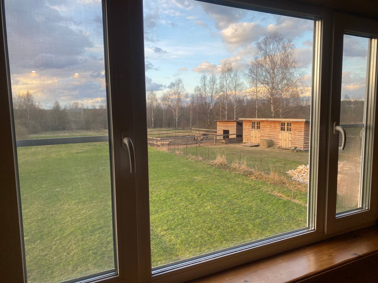 Фото ХоллиЛэнд 