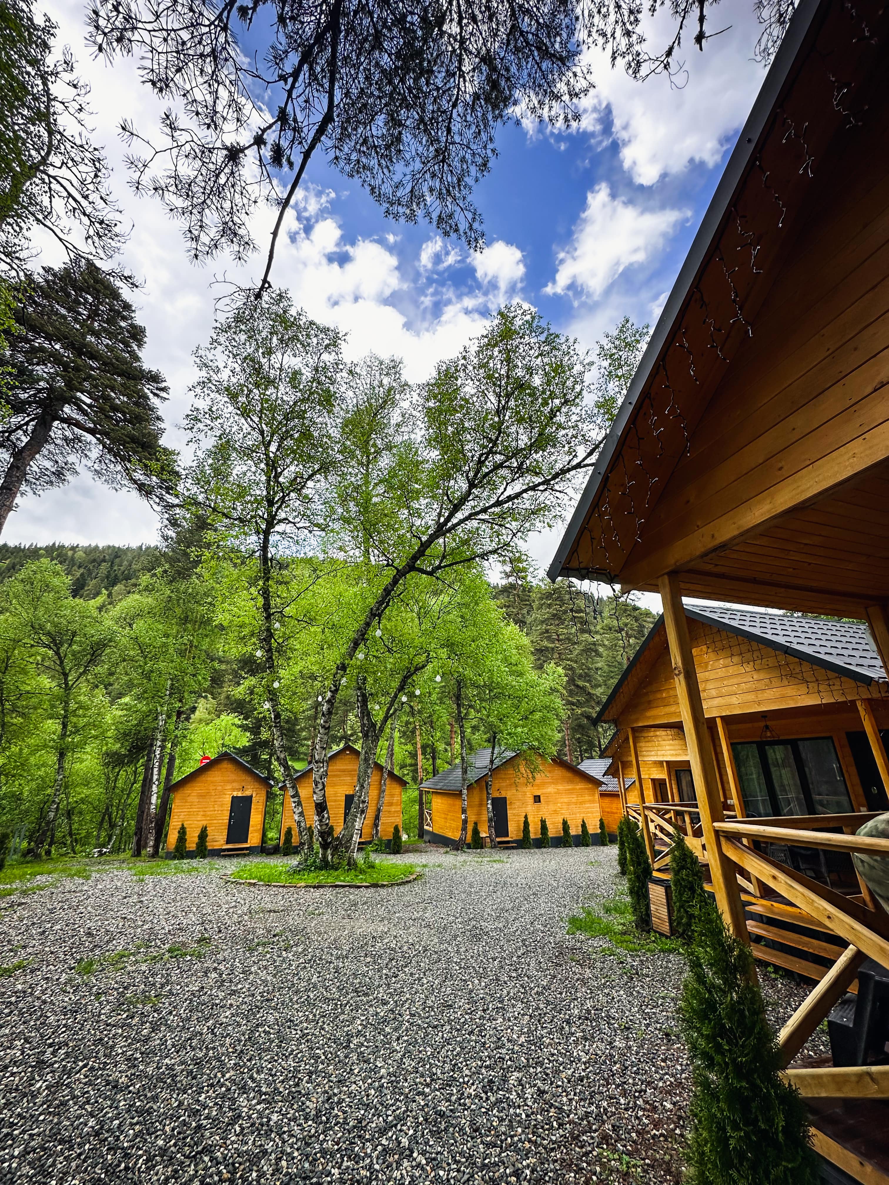 Фото Шале Хвоя