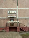 Lion (Lenina Avenue, 83), peluquería