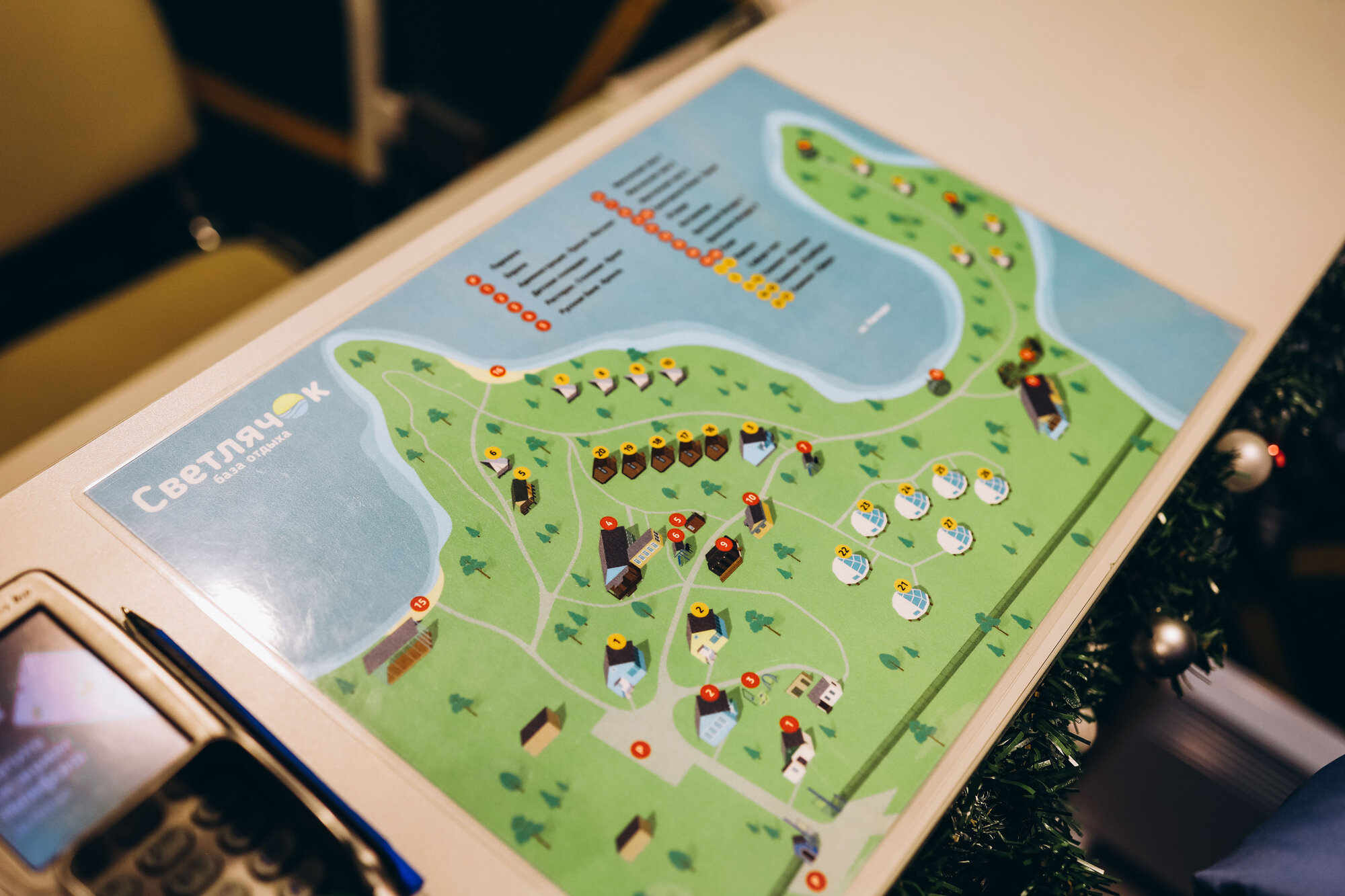 Фото Светлячок