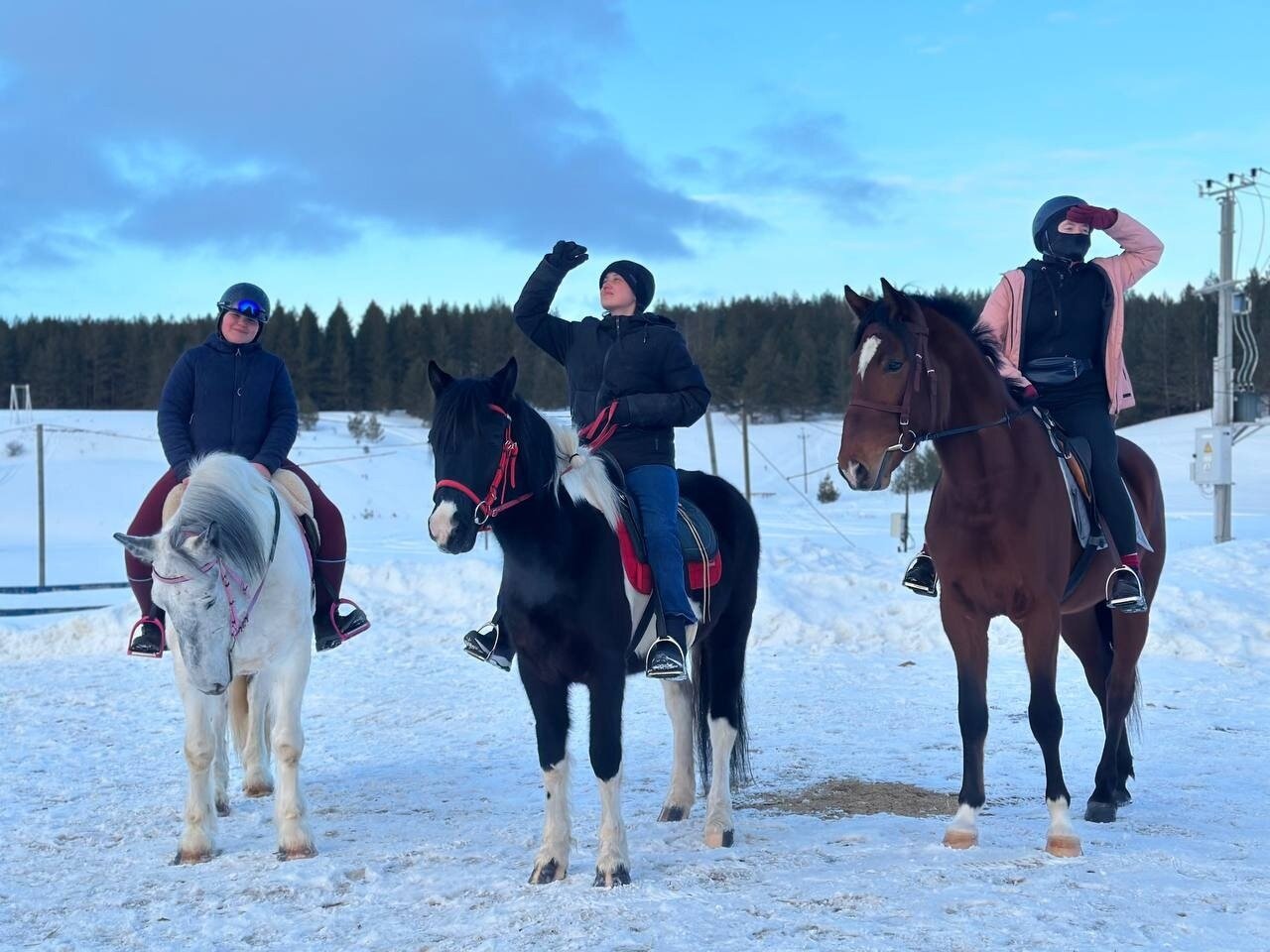 Фото Поместье Конная эстетика