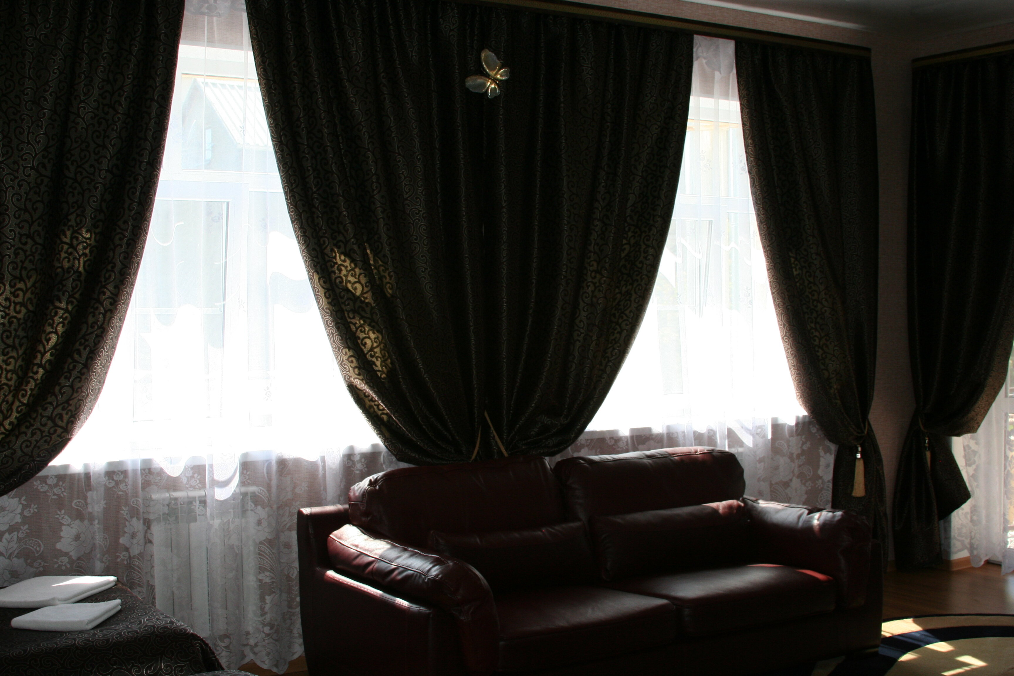 Фото Кипарис