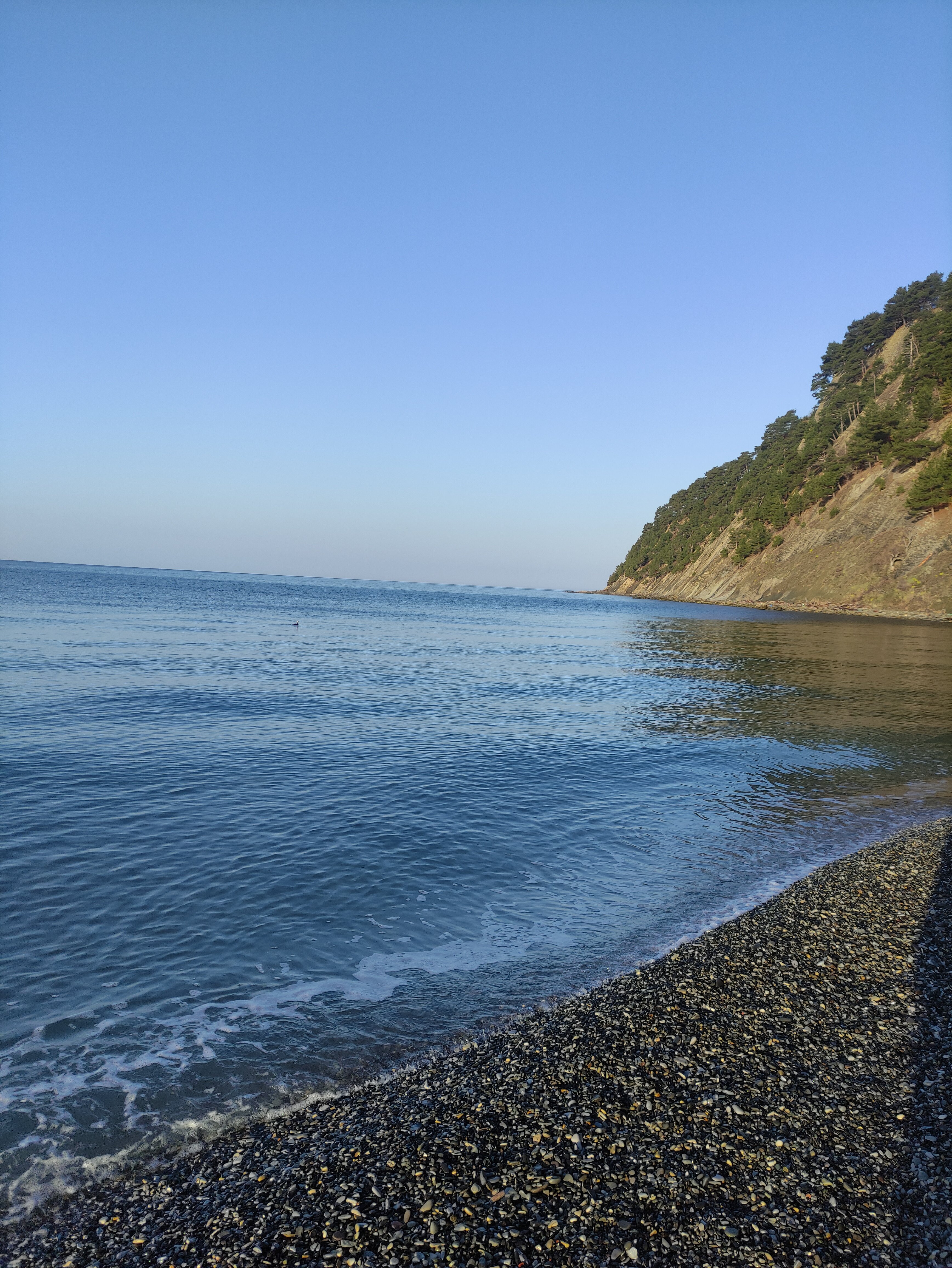 Фото Аммонит