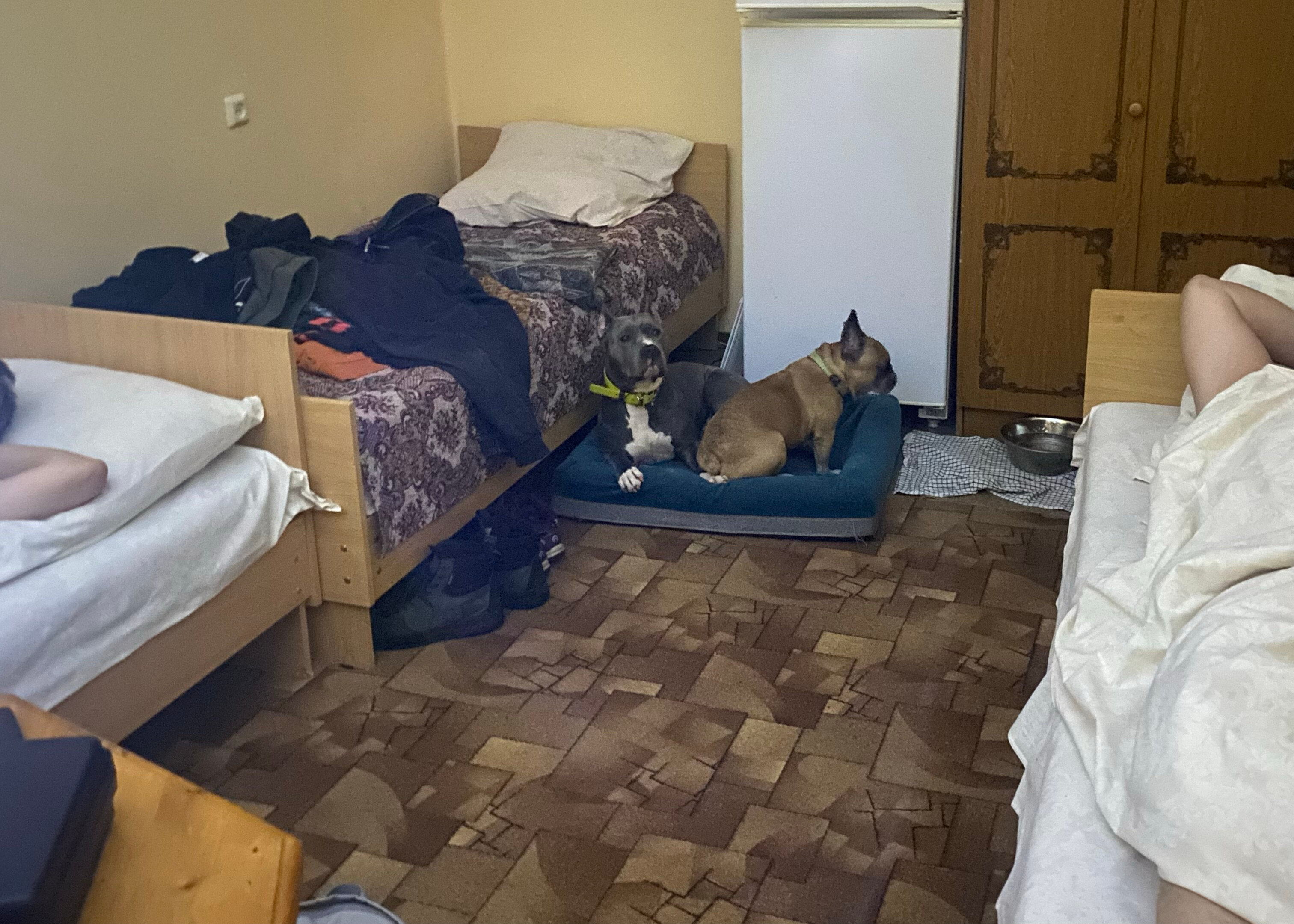 Фото Заполярье