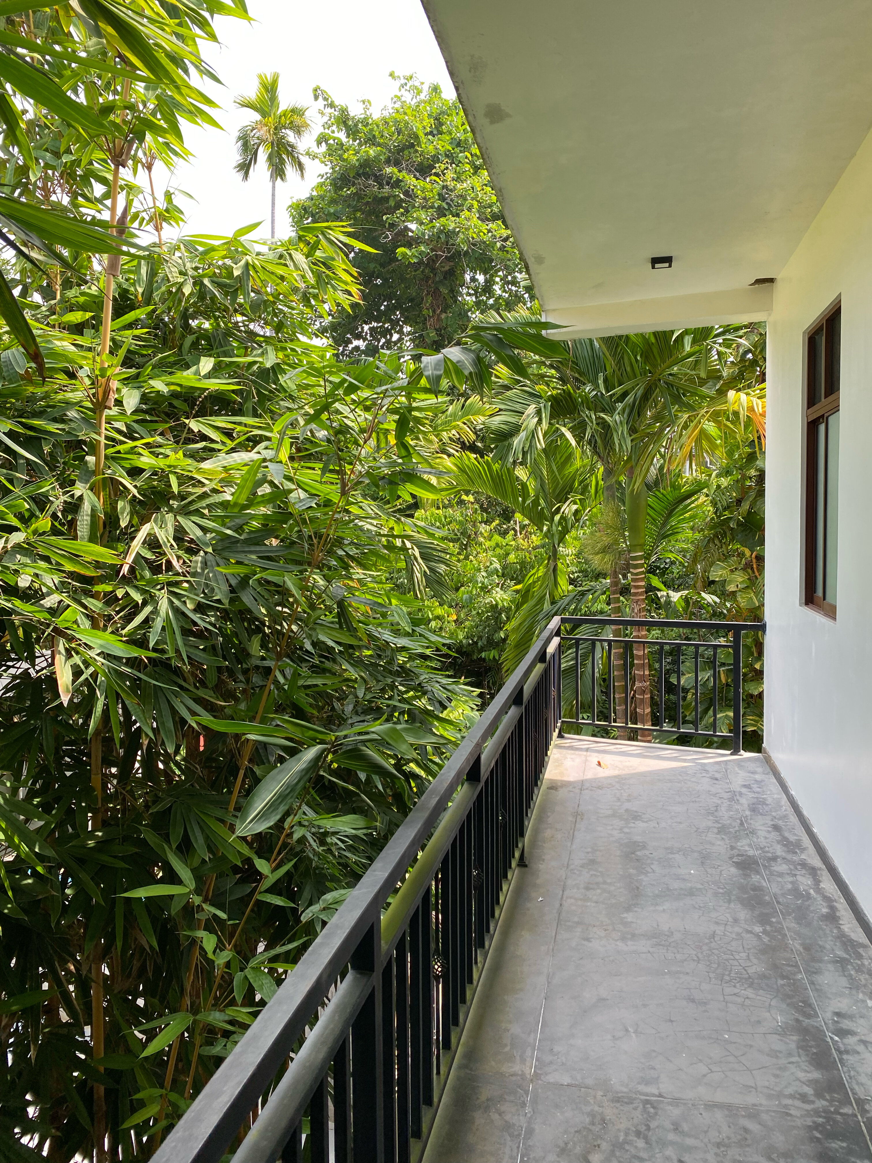 Фото Surf n Summer