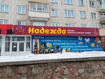 Надежда (ulitsa Entuziastov, 11), shopping mall