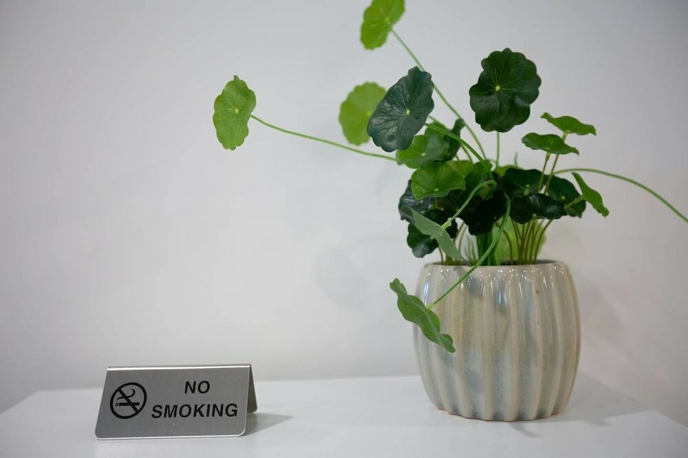 Фото Sumptuous Incredible Cozy 2 Bed Near Cbd