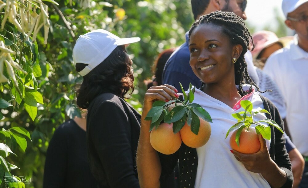 Фото Shaar Hagolan Kibbutz Country Lodging