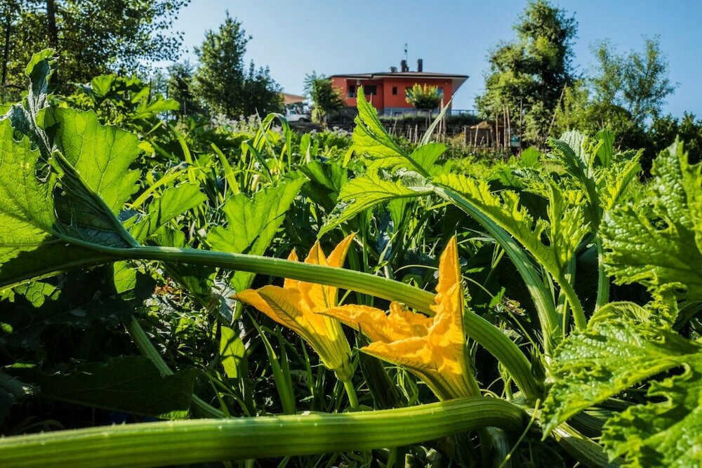Фото Foresteria La Merlina