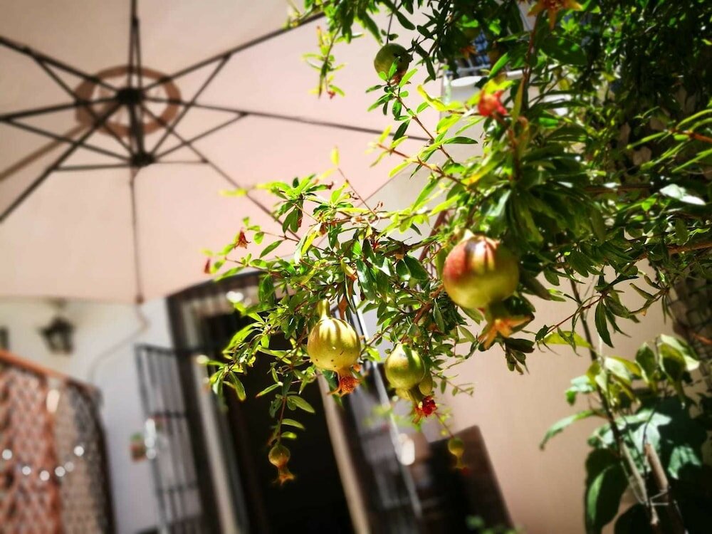 Фото Bella Palermo