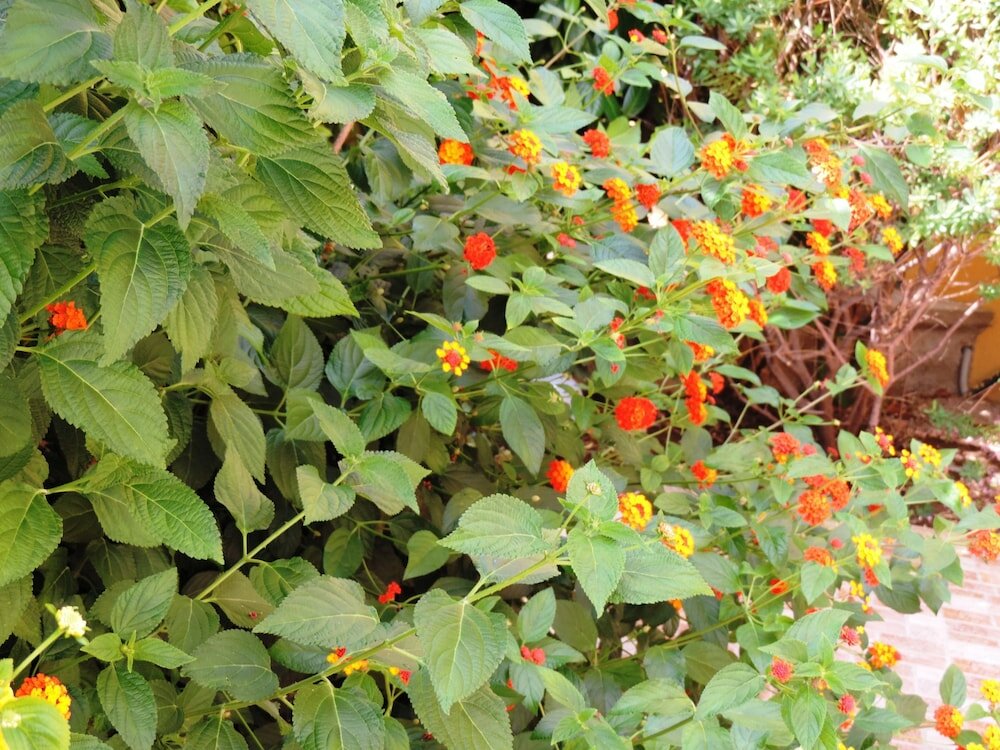 Фото B&b Ospiti a Corte