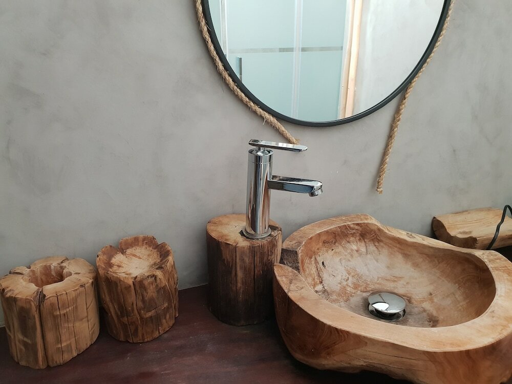 Фото Cactus Host