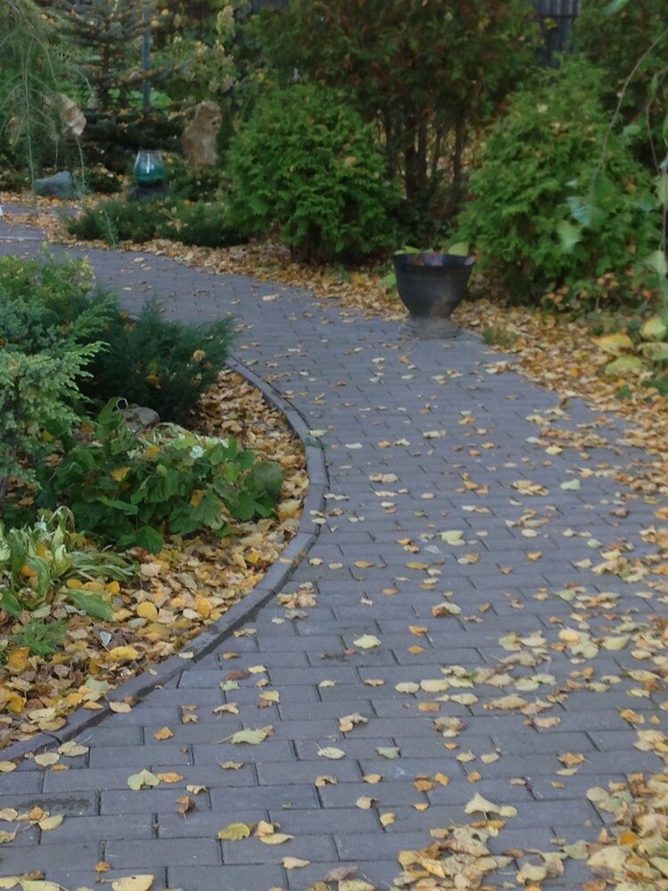 Фото Красная гора