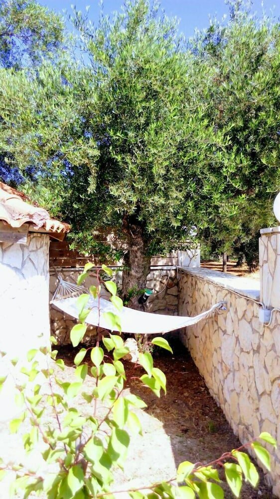 Фото Villa Julia