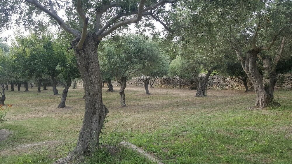 Фото Serra E Mesu