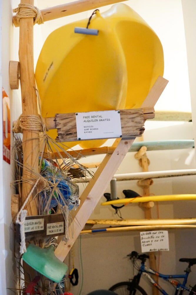 Фото Cactus Host