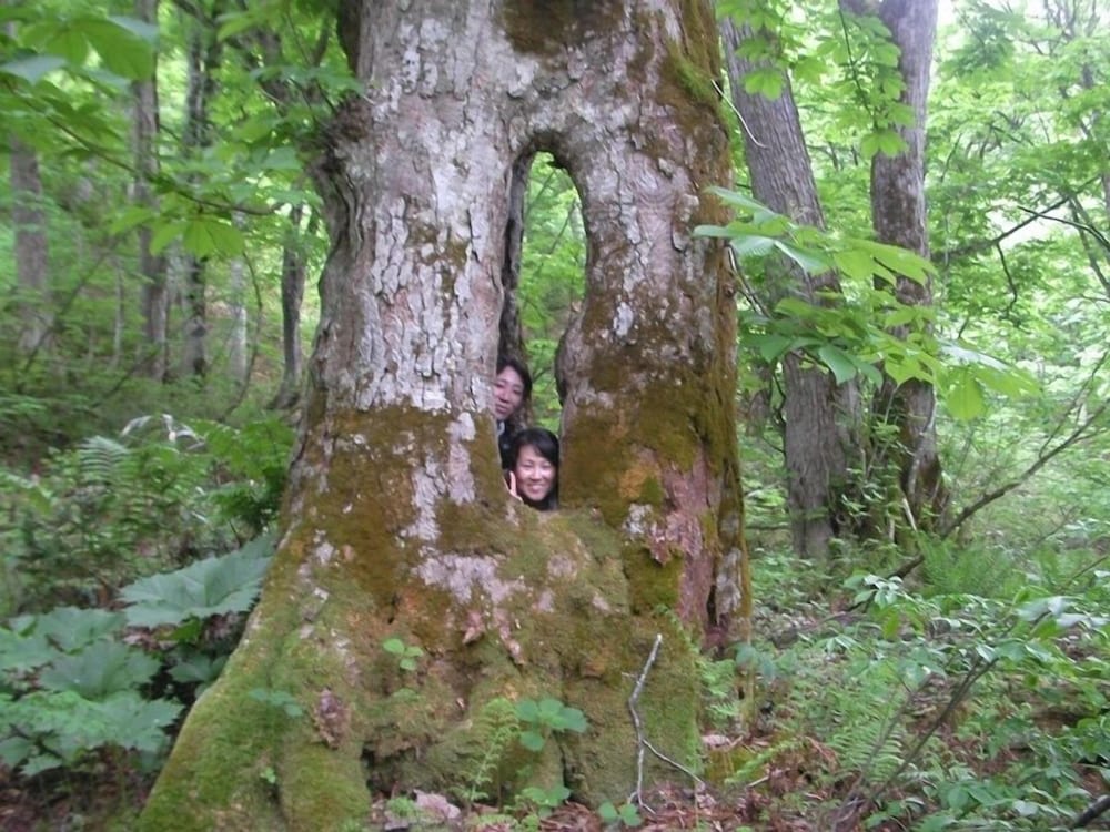 Фото Yado Kanzan