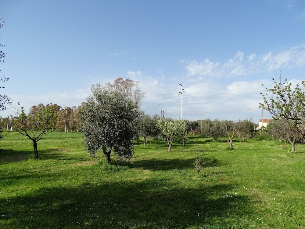 Фото Agriturismo Podere 1248