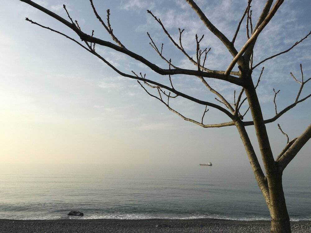 Фото White Guest House