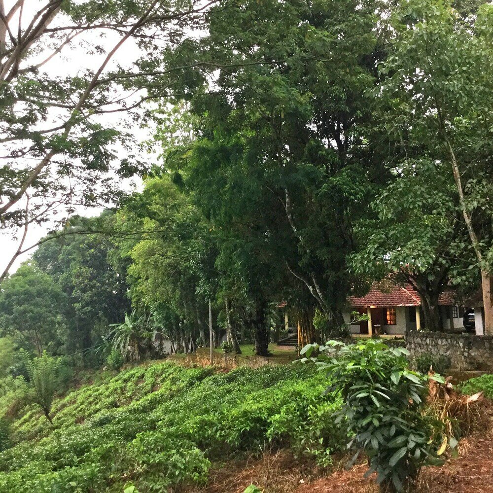 Фото Captain's Lodge