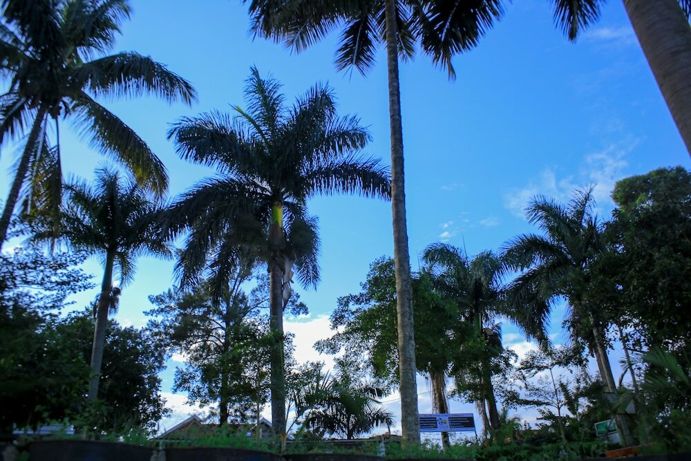 Фото Saffron Beach Bistro & Cottages