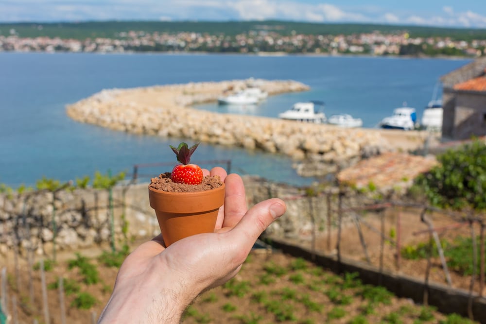 Фото Hotel Villa Margaret