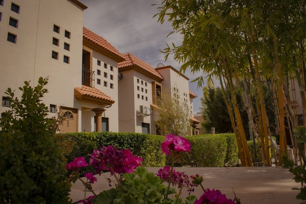 Фото Suites Cervantes