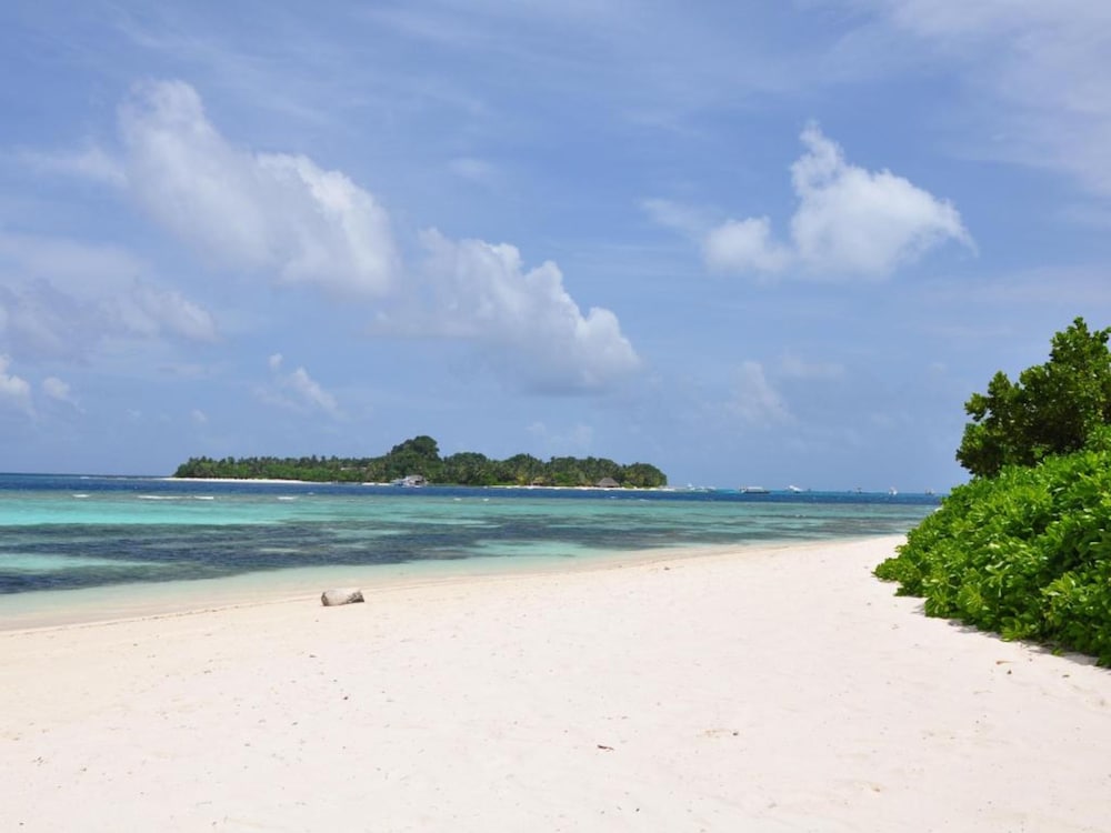 Фото Banana Residence