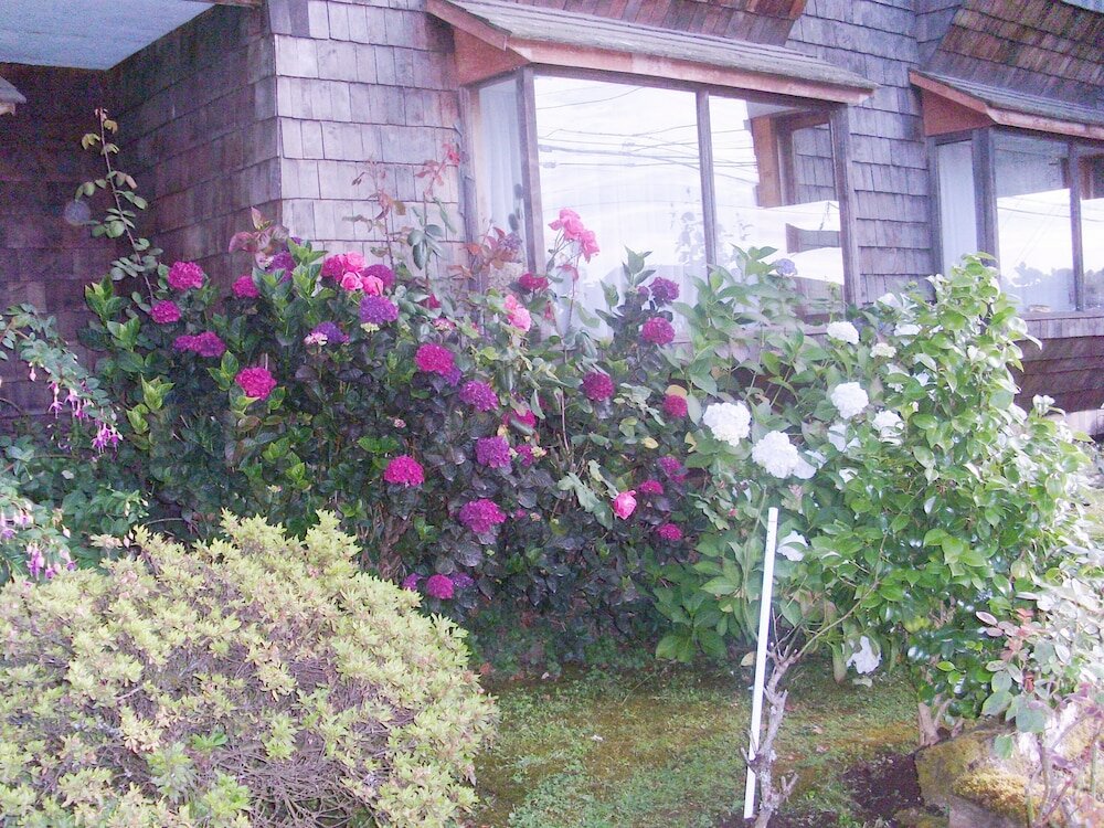 Фото Hostal Chancerel