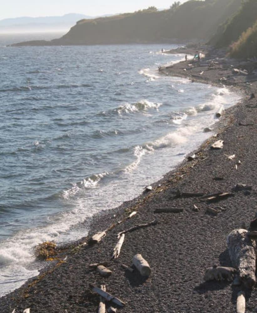 Фото Dashwood Manor Seaside Bed & Breakfast