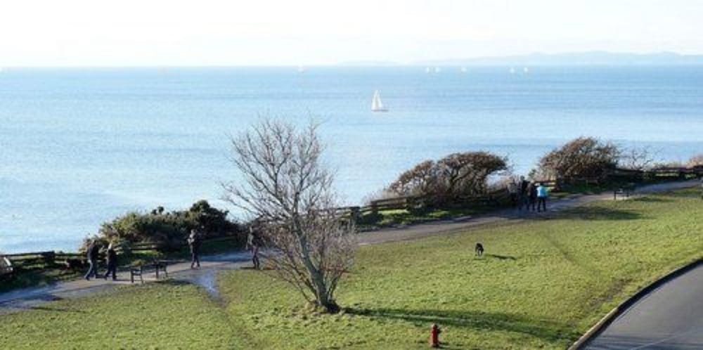 Фото Dashwood Manor Seaside Bed & Breakfast