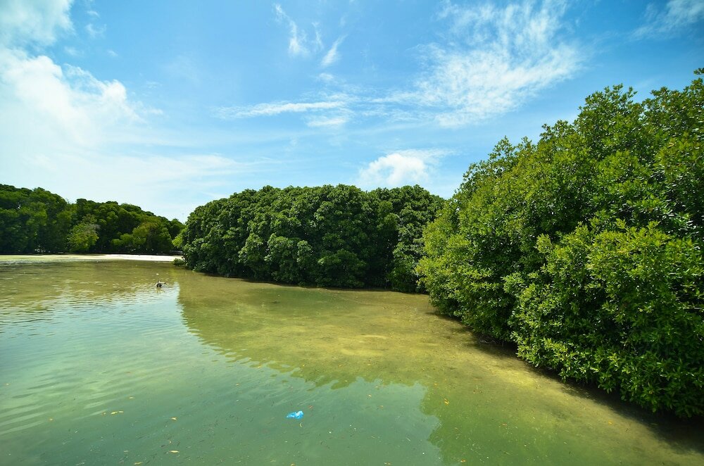 Фото Huraa East Inn