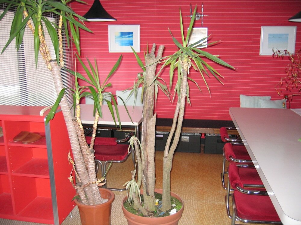 Фото Pension Croissant