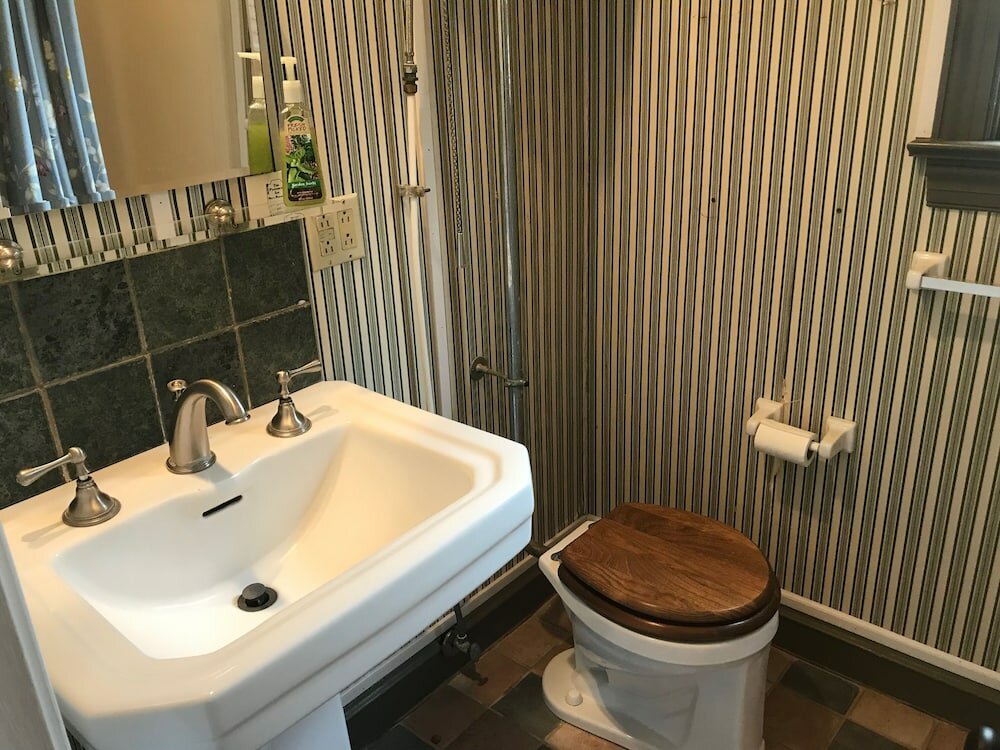 Фото Wild Wisteria