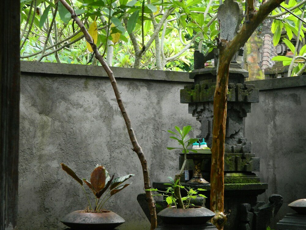 Фото D'tegale Homestay