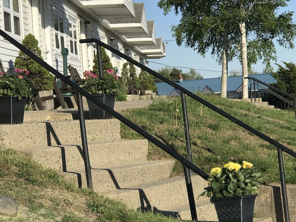 Фото White Birches Motel