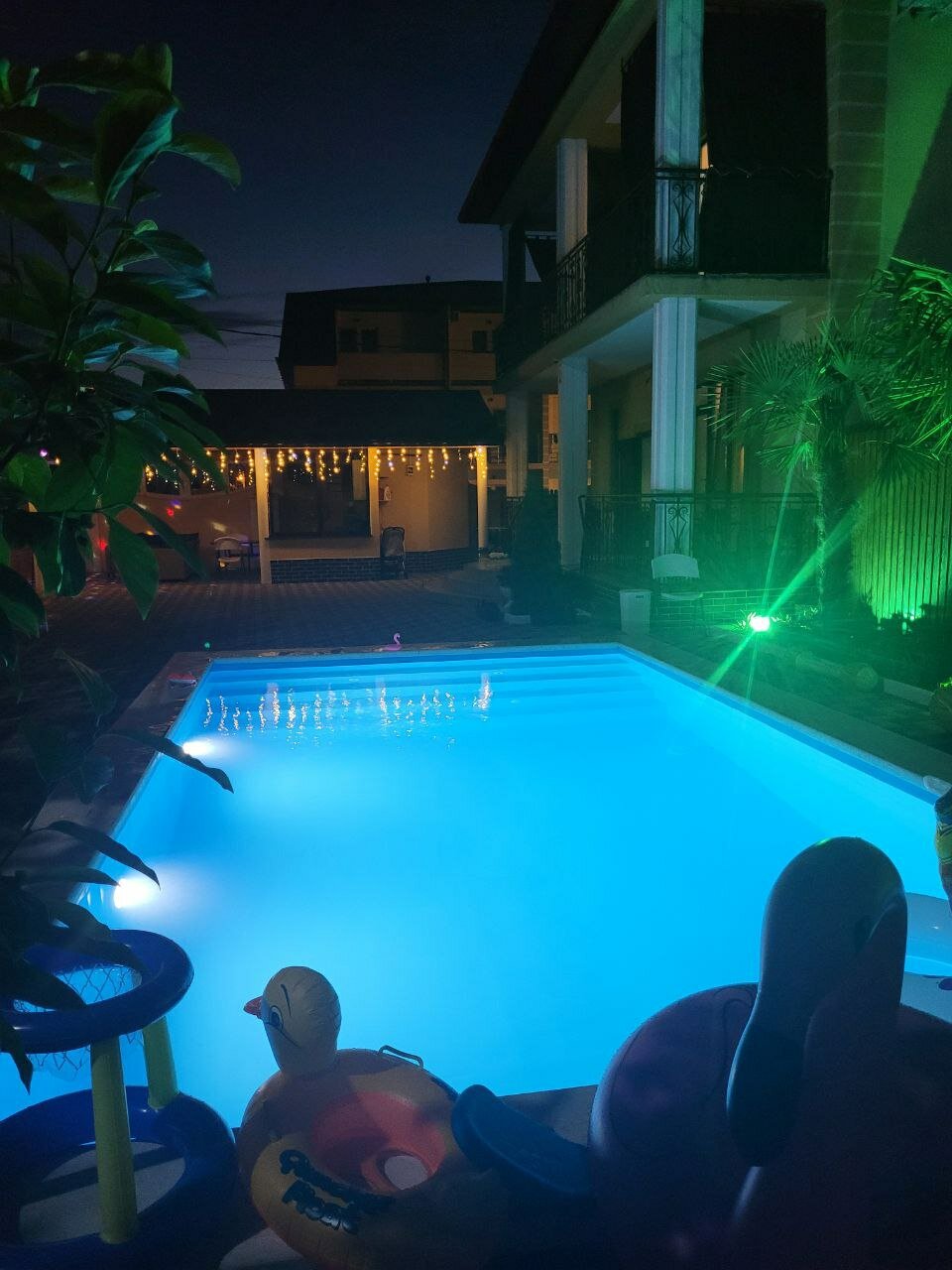 Фото Мандарин