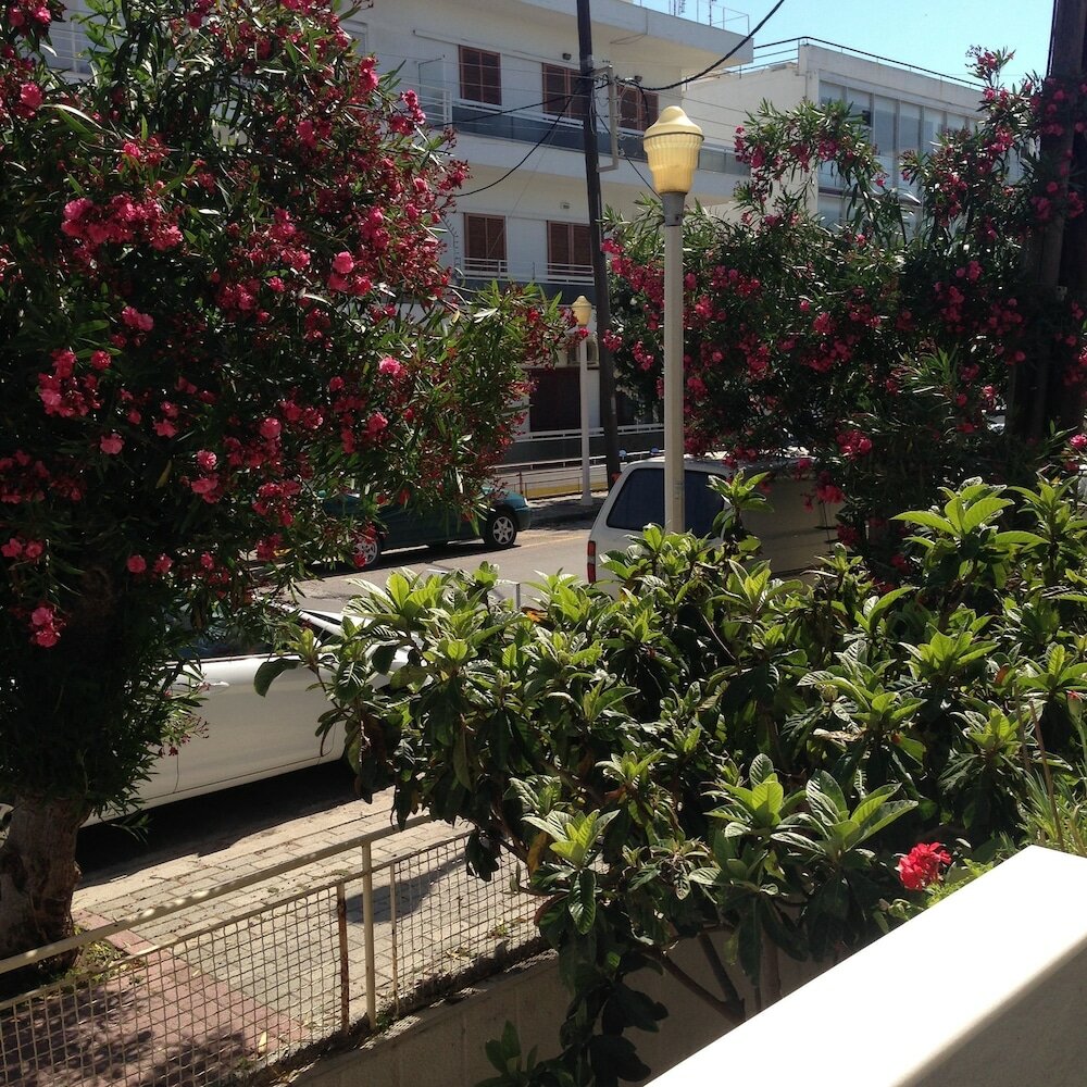 Фото Zefyros Hotel