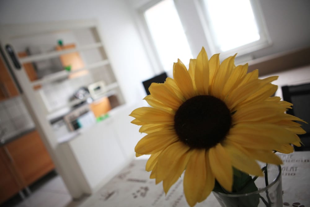 Фото White House Bochum Ehrenfeld