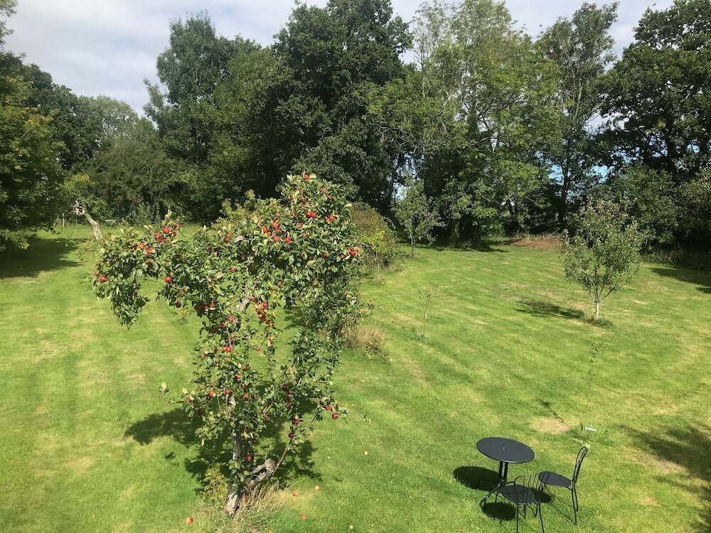 Фото Rosebank Bed & Breakfast