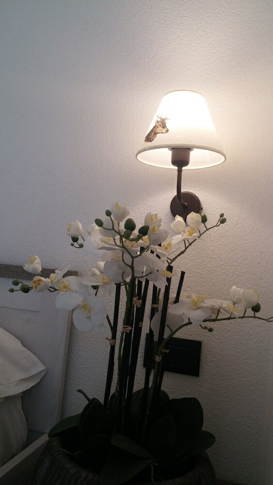 Фото Appartamento Isola