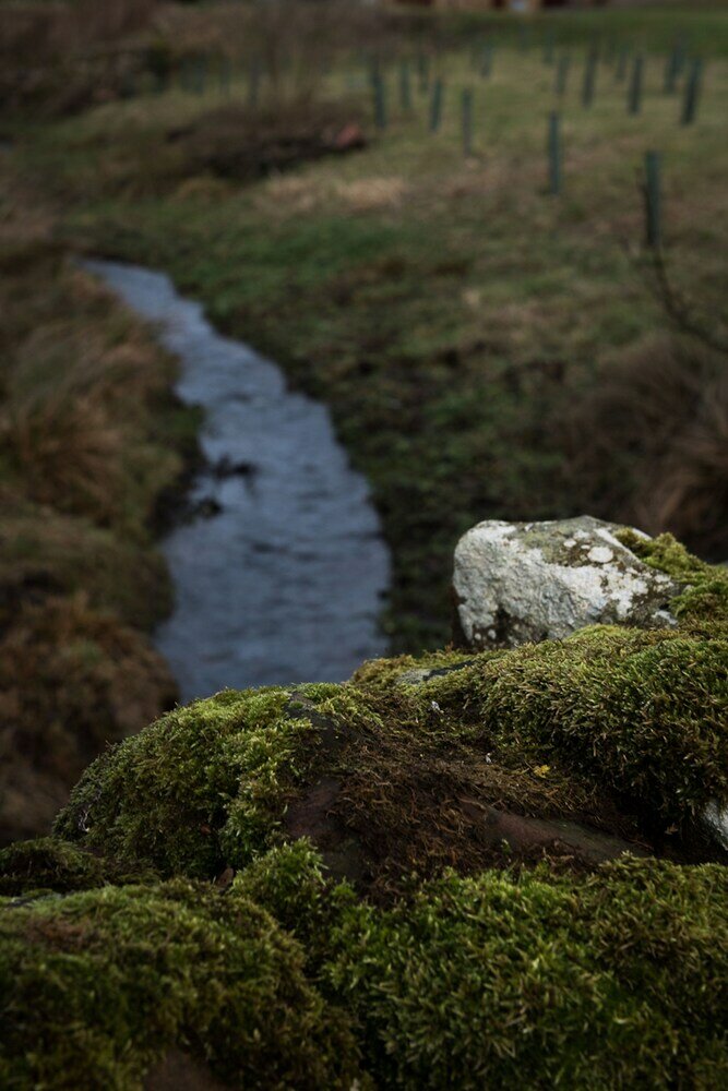 Фото The Steading